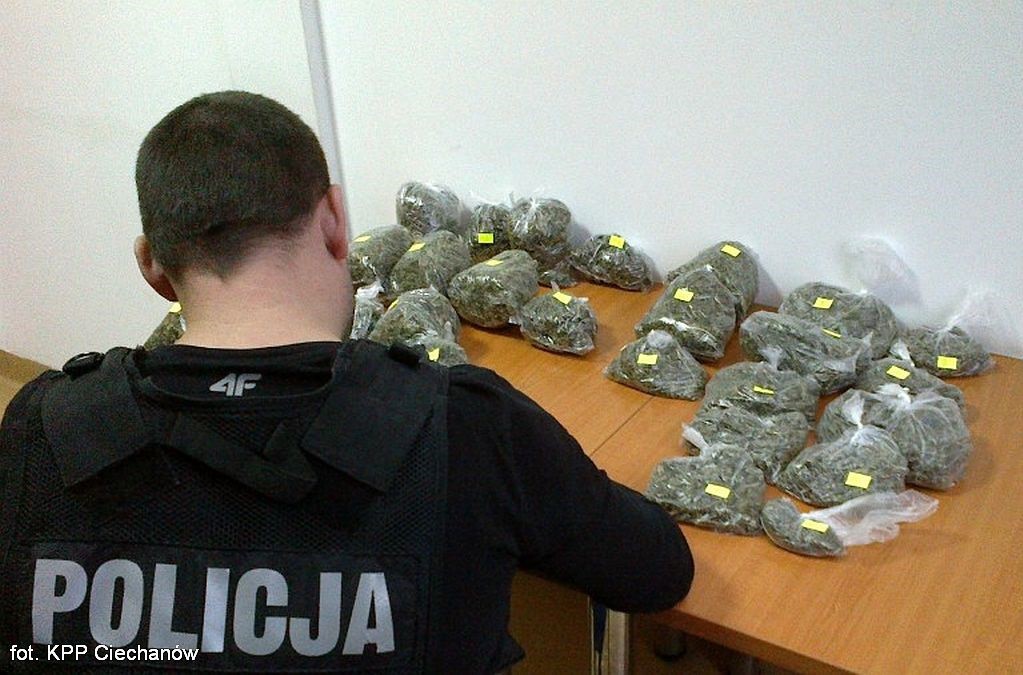 Awanturnik prosto z Holandii, miał przy sobie narkotyki