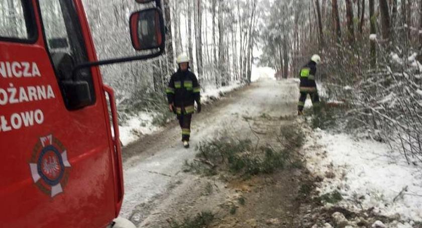 Pracowita noc i poranek strażaków z pow. ciechanowskiego. Podjęli kilkanaście interwencji