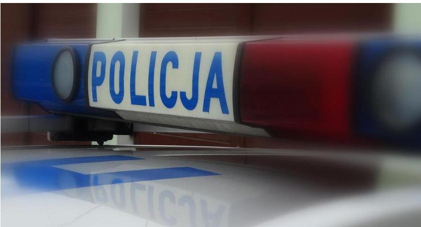 Pies wbiegł na drogę. Zderzyły się dwa samochody