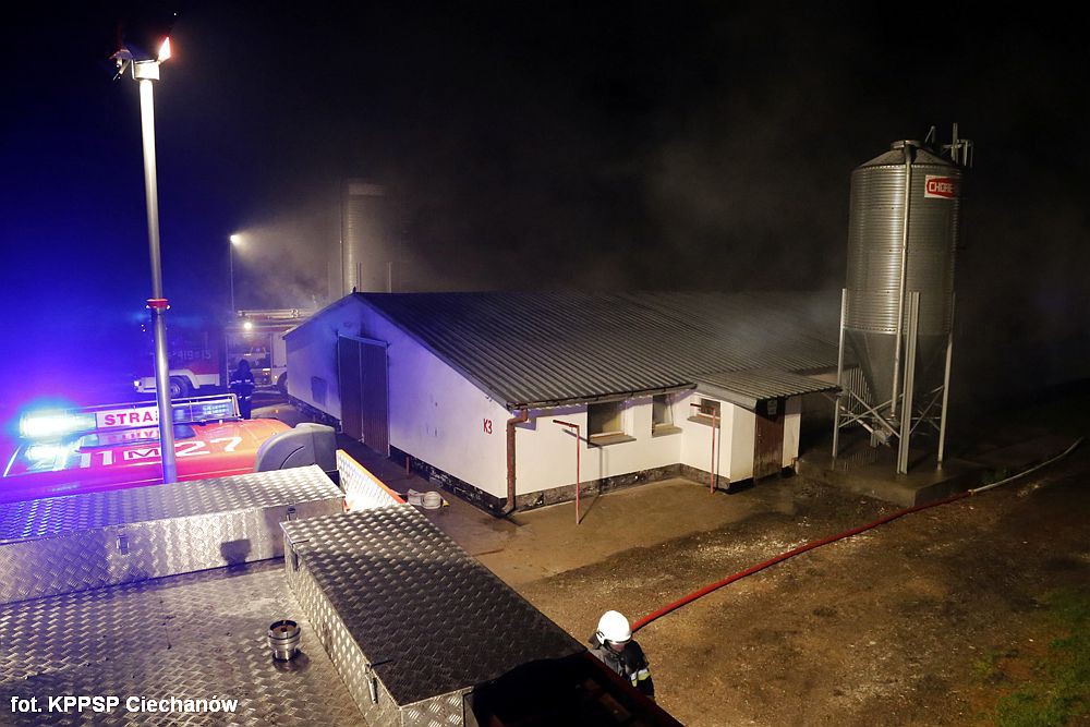 U sąsiadów: 2,5 mln zł strat po pożarze kurników. Spaliło się tysiące kur