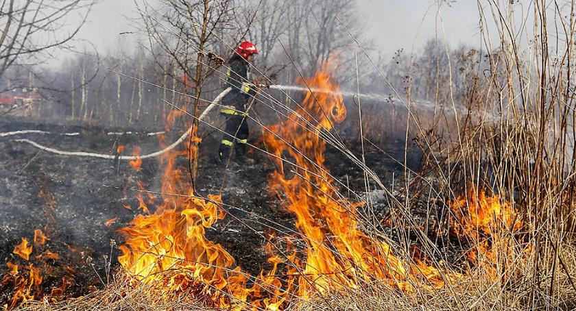 Pierwszy w tym roku pożar trawy w powiecie ciechanowskim