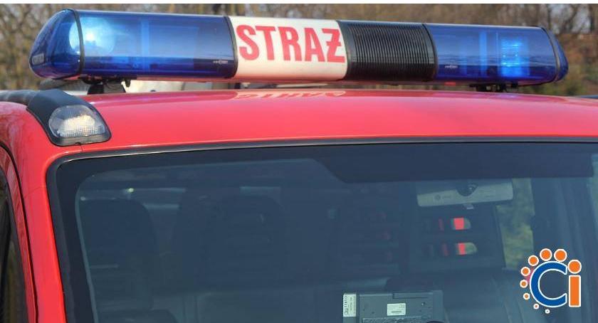 Cichy zabójca znów dał o sobie znać w Ciechanowie
