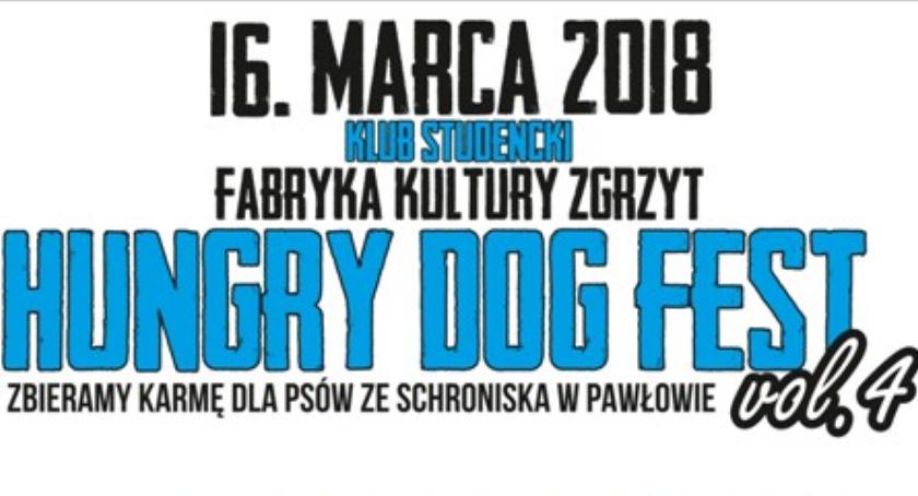 Hungry Dog Fest w Ciechanowie, czyli koncert na rzecz bezdomnych zwierząt