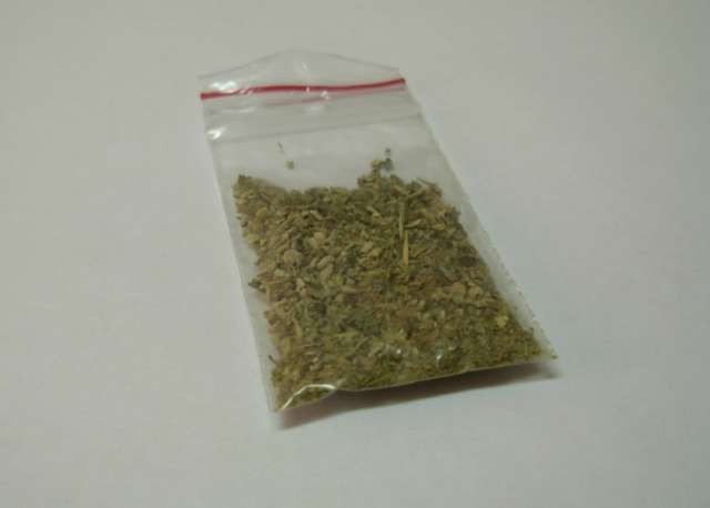 Palili 