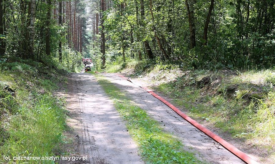 Nie będzie zakazu wstępu do lasów w powiecie ciechanowskim