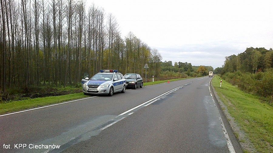 Sarna wbiegła na drogę. Kierowca z urazem kręgosłupa trafił do szpitala