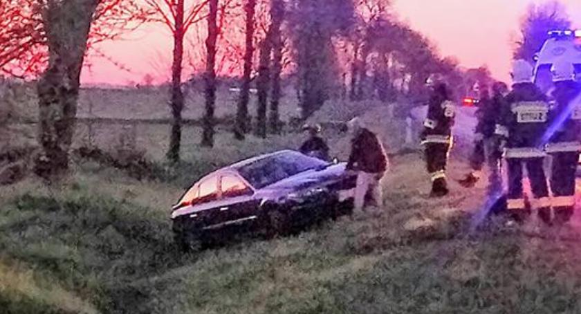 Pod Ciechanowem Renault uderzyło w psa i dachowało
