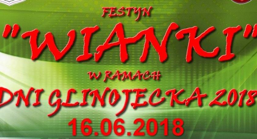 Dni Glinojecka 2018: MIG i Czerwone Gitary gwiazdami festynu [program]