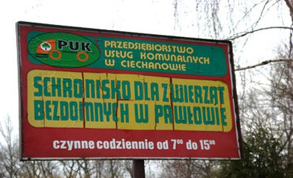 Mikołaje odwiedzą sieroty w schronisku