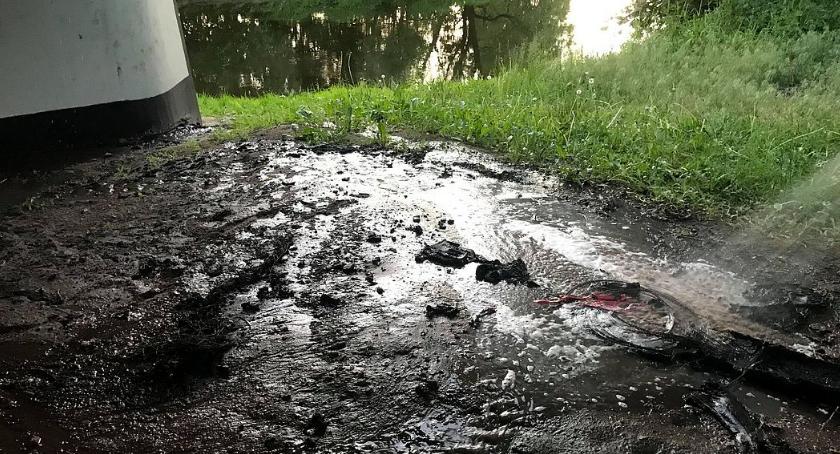 Pożar pod mostem i duże zadymienie na drodze w Glinojecku [zdjęcia]