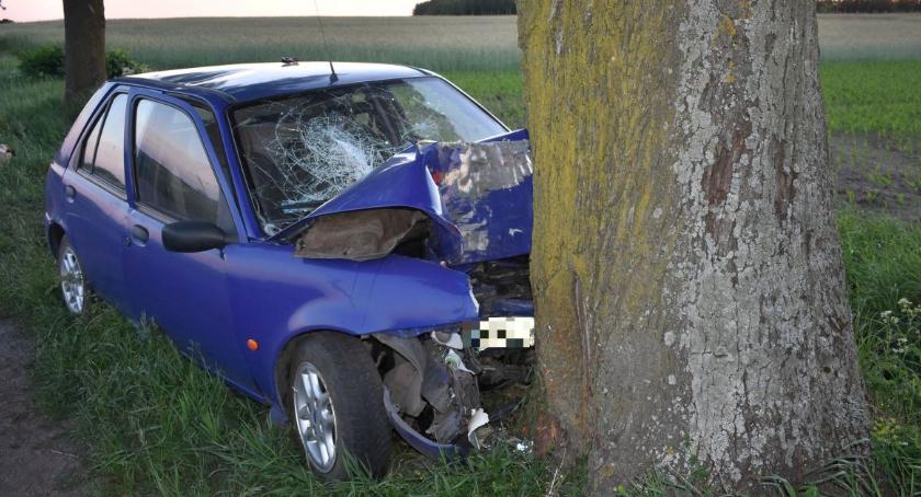 Ford uderzył w drzewo. Kierowca zginął na miejscu