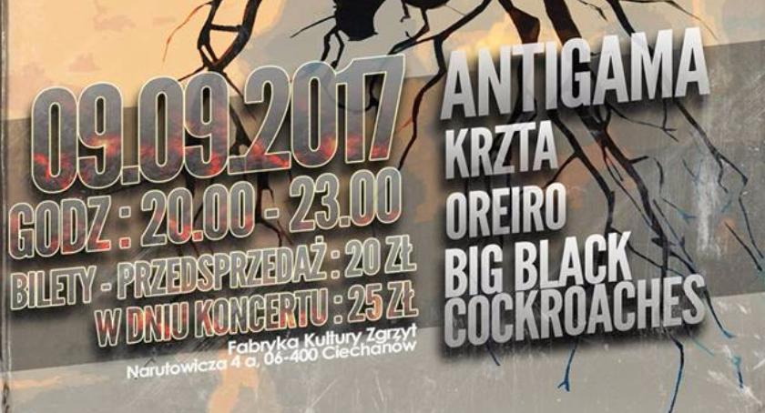 Psycho Art Fest vol . 5  w Zgrzycie