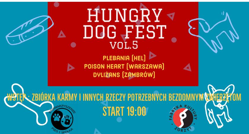 Wesprą bezdomne zwierzęta. Hungry Dog Fest już po raz piąty w Ciechanowie