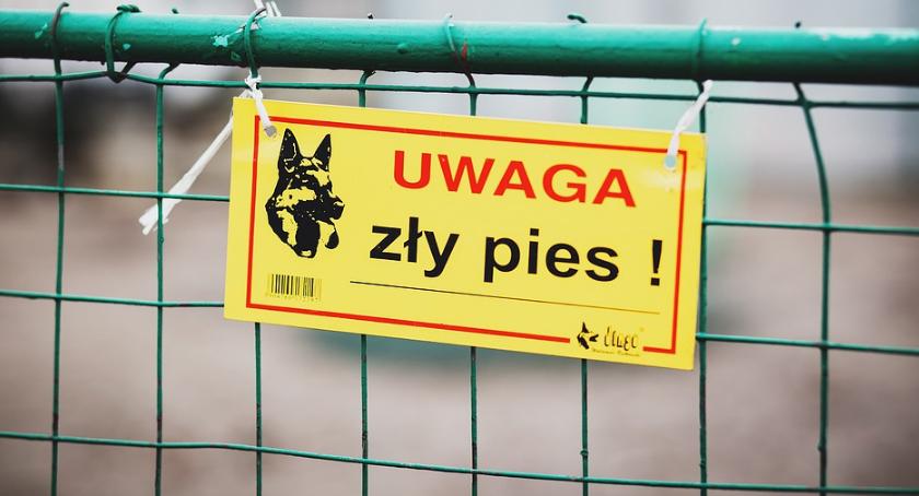 Po ataku amstaffa: Ojciec pogryzionych dzieci z zarzutami