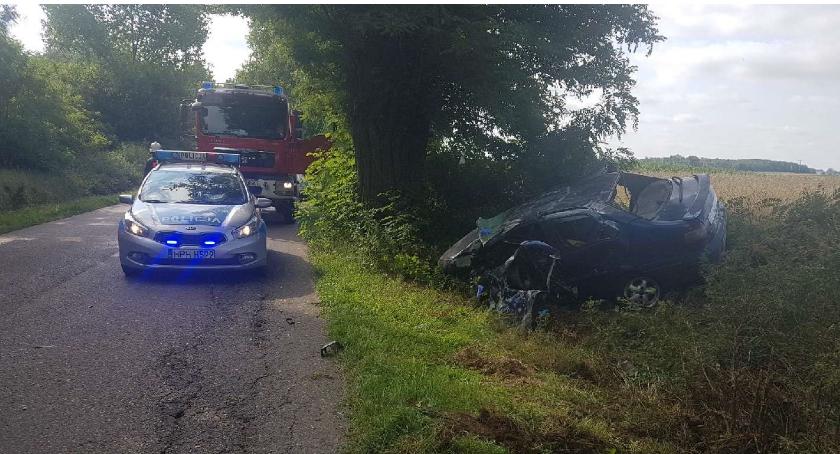 Fiat uderzył w drzewo i dachował [zdjęcia]