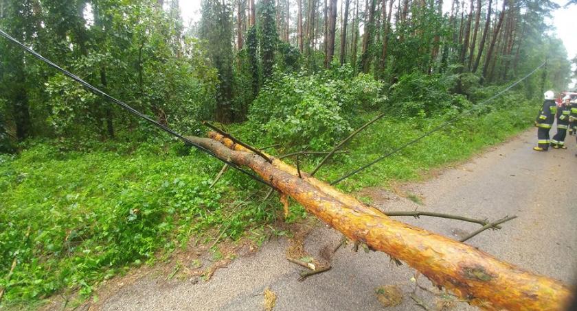 Strażacy z powiatu ciechanowskiego usuwali skutki burzy