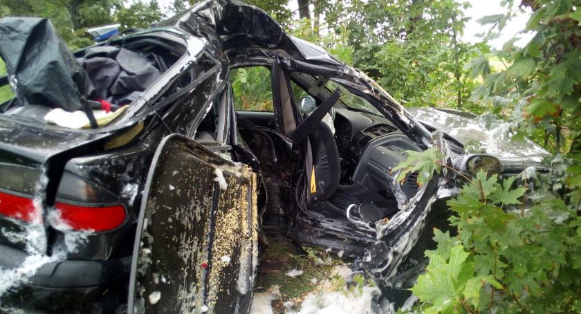 Renault uderzyło w drzewo. Ranna 27-latka [zdjęcia]