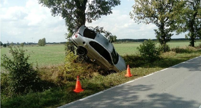 Seat zatrzymał się na drzewie. Podczas wyprzedzania uderzył w inne auto [zdjęcia]
