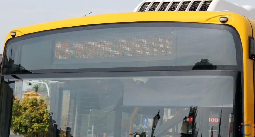 Jest rozkład jazdy jedenastki, która pojedzie do Regimina i Opinogóry