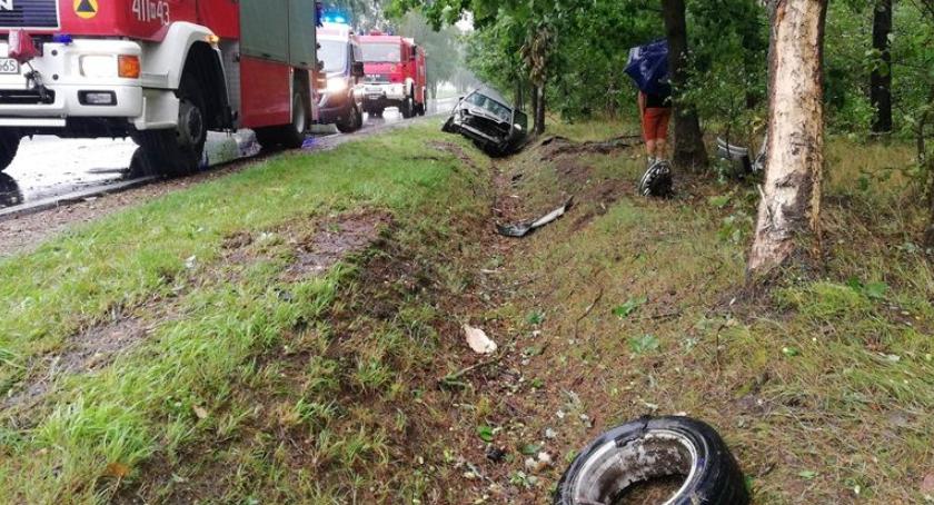 Groźny wypadek pod Ciechanowem. Opel zjechał do rowu i złamał drzewo [zdjęcia]