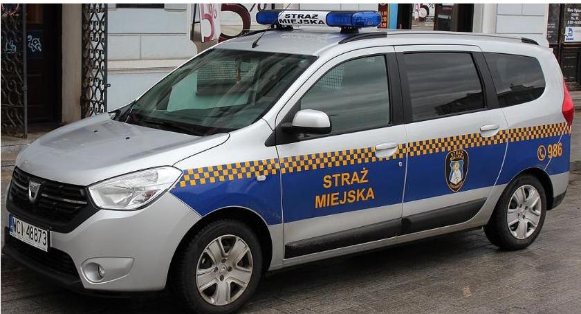 Poszukiwany pracownik w ciechanowskiej Straży Miejskiej