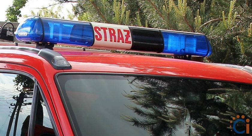 Strażacy z Ciechanowa uratowali psa, który zakleszczył się w furtce