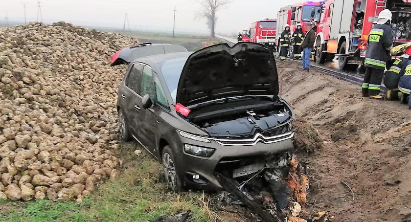 Ścięła dwa znaki drogowe i wylądowała w rowie [zdjęcia]