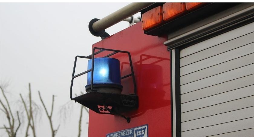 Pies wpadł do szamba. Z pomocą ruszyli strażacy