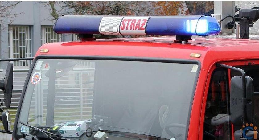 Uwięziony pies przy ul. Sienkiewicza. Z pomocą przybyli strażacy