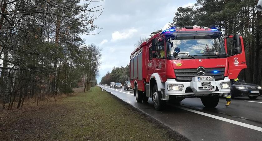 Połamane drzewa utrudniały ruch na drogach pow. ciechanowskiego