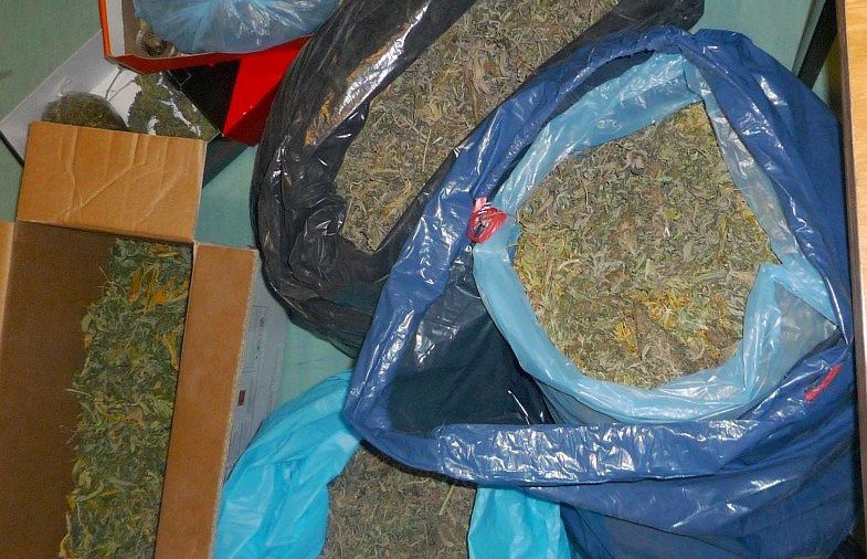 U sąsiadów: 21-latek miał w domu prawie 9 kg marihuany (zdjęcia)