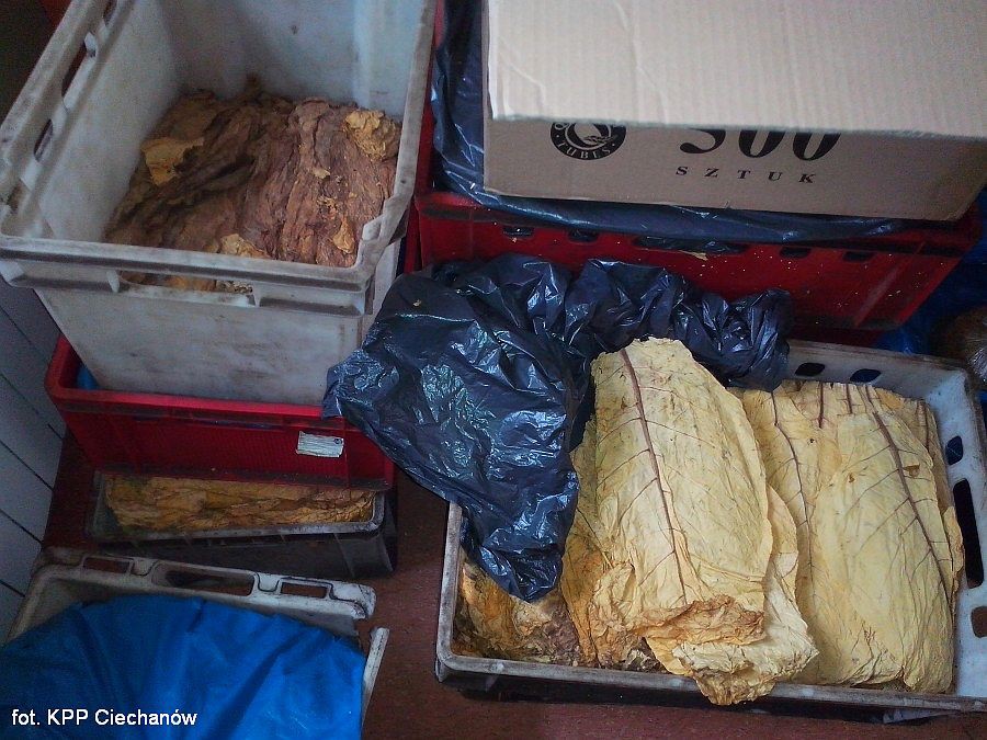 Nielegalna produkcja papierosów 