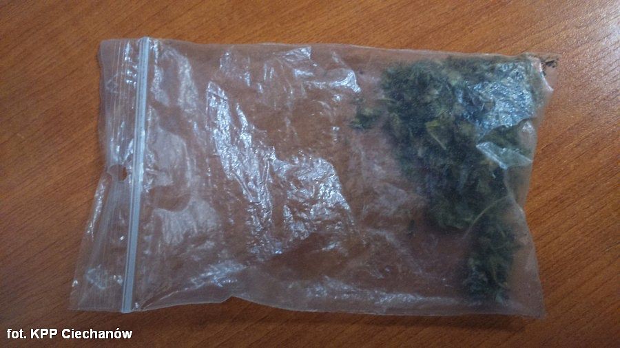 Czterech mężczyzn zatrzymanych w Ciechanowie. Mieli przy sobie narkotyki