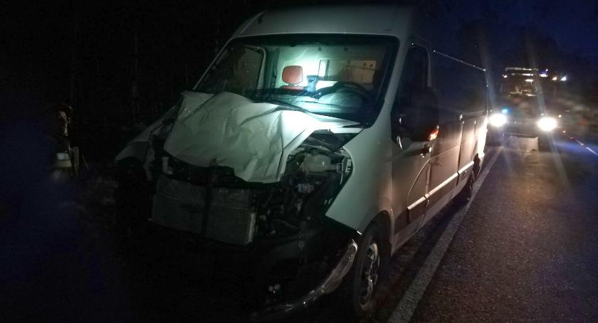 Renault uderzyło w łosia pod Glinojeckiem [zdjęcia]