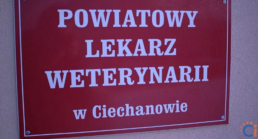 W Ciechanowie odbędzie się bezpłatne szkolenie dla hodowców
