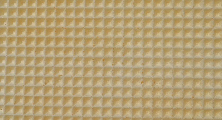 Salmonella w waflach? GIS wydał ostrzeżenie