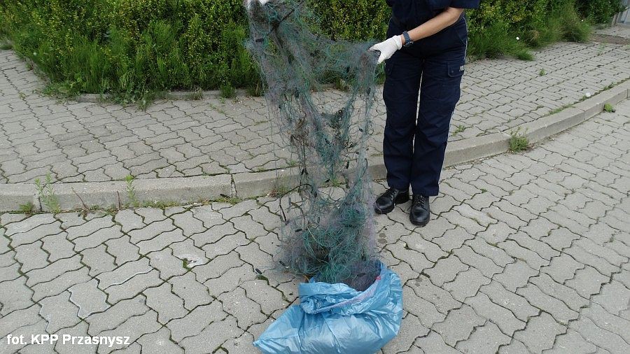 U sąsiadów: Zatrzymali dwóch młodych kłusowników