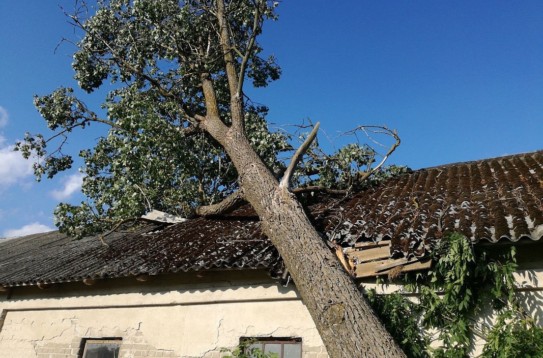 Bilans po nawałnicy w powiecie ciechanowskim. Prawie 150 interwencji straży pożarnej (nowe zdjęcia)