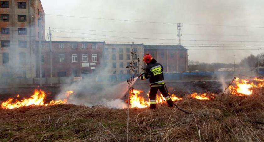 Sześć pożarów w Ciechanowie i okolicznych gminach [zdjęcia]