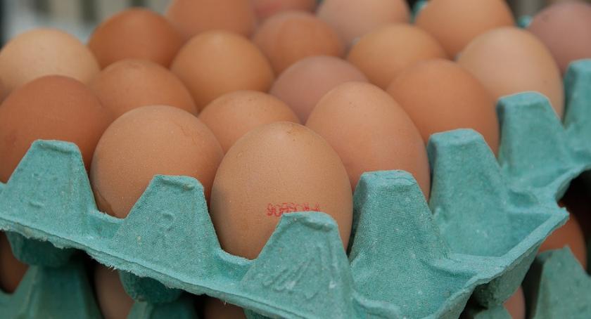 Salmonella w kolejnej partii jaj. GIS ostrzega