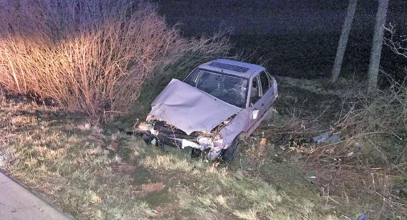 Sarna wbiegła na drogę. Dachował Ford [zdjęcia]