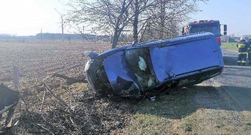 Volkswagen uderzył w przydrożne drzewo [zdjęcia]