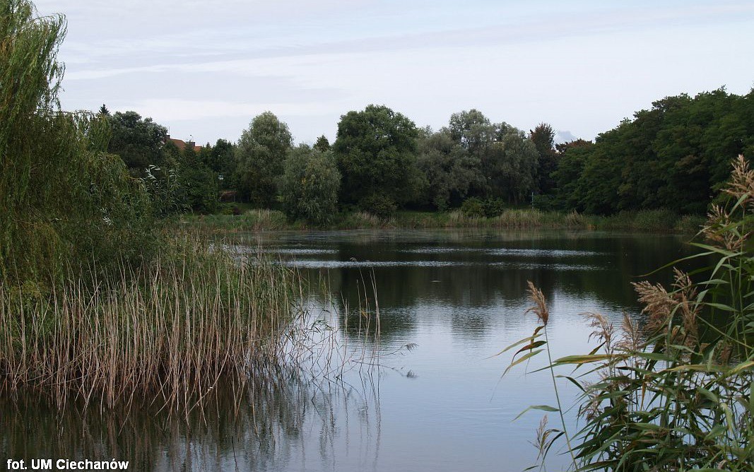 Łowił ryby w Ciechanowie. Wyłowił ... ludzką czaszkę