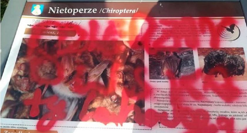 Wasze Info: I kto to wszystko naprawi i oczyści? [zdjęcia]