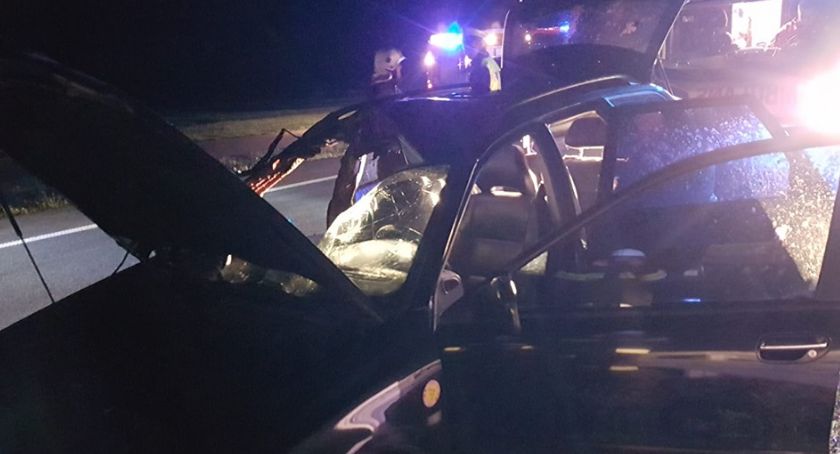Zderzenie z łosiem na krajówce. Policja apeluje o ostrożność