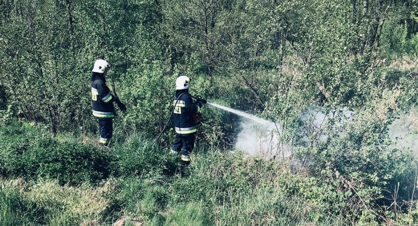 Komuś przeszkadzały bobry? Pożar pod Glinojeckiem [zdjęcia]