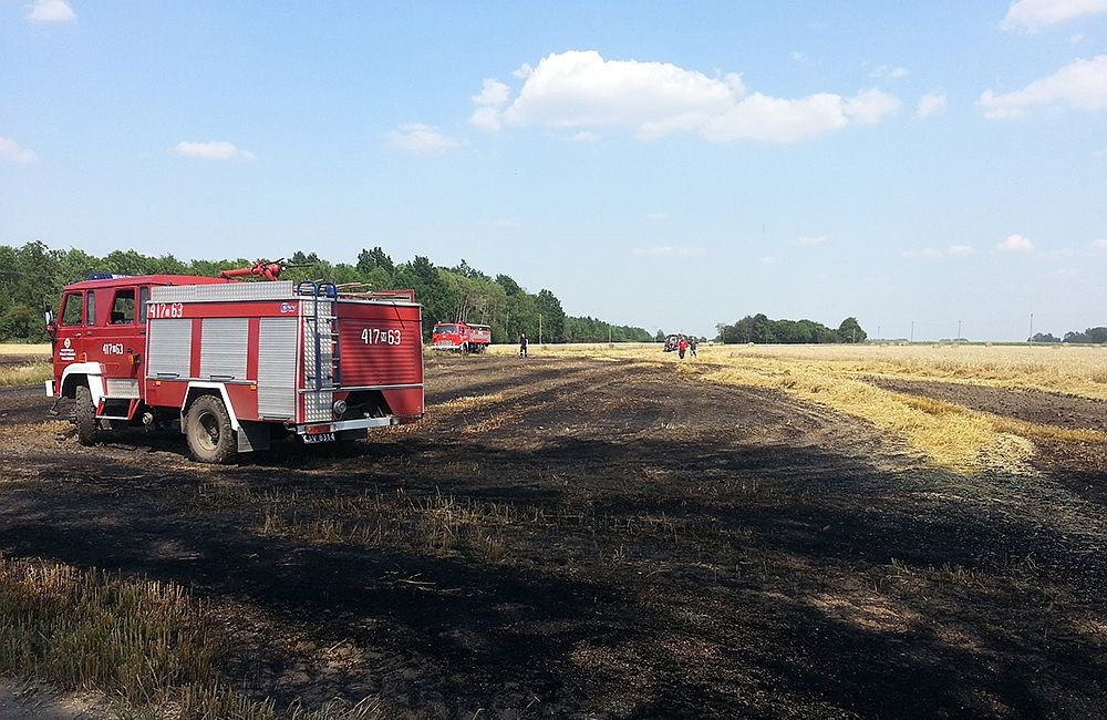 Kolejne pożary pod Ciechanowem. Strażacy uratowali mienie warte kilkadziesiąt tysięcy zł (foto)