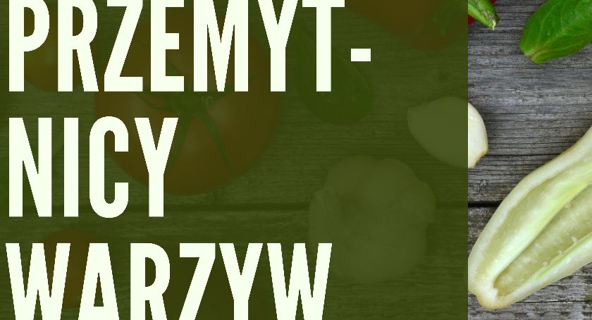 Bezpłatne warsztaty kulinarne dla mieszkańców Ciechanowa 