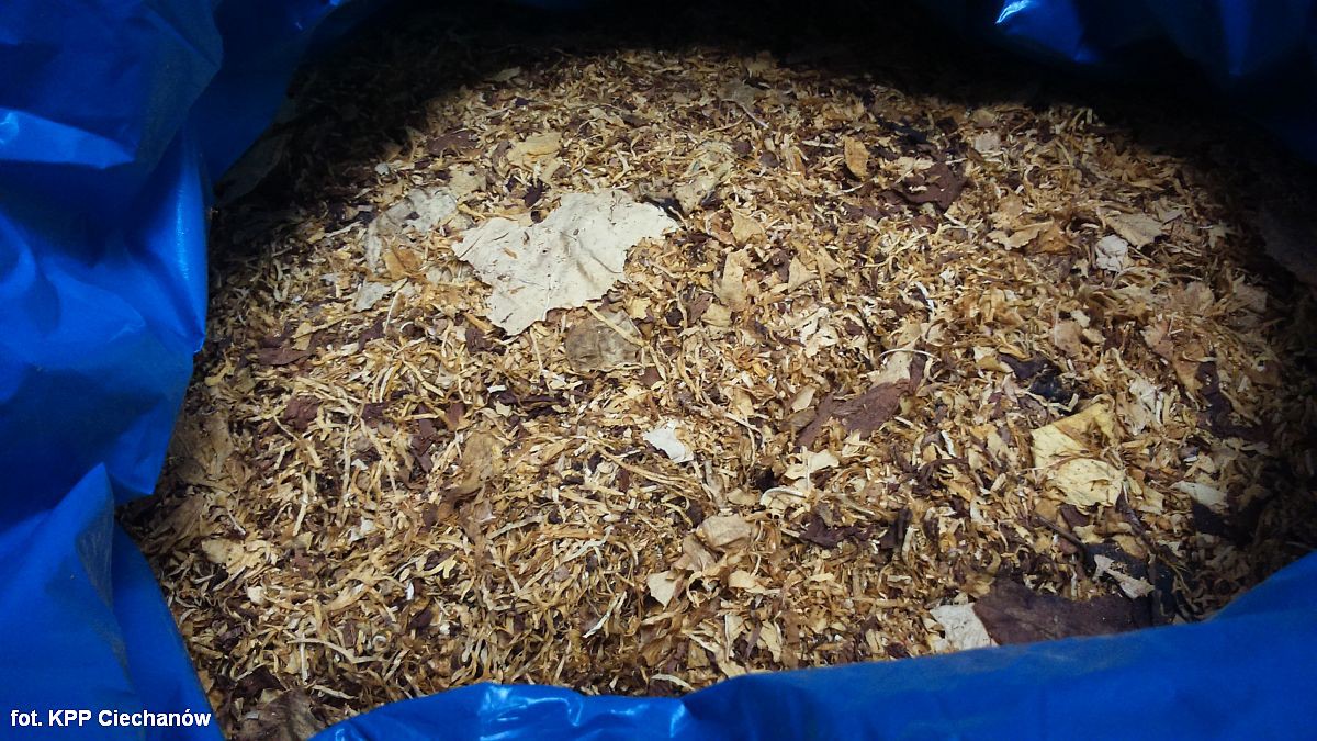 Małżeństwo z Ciechanowa aresztowane. Przewozili tytoń wart 135 tysięcy zł