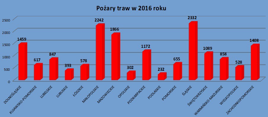 W Ciechanowie znów płoną trawy. Za podpalenie grozi 10 lat więzienia